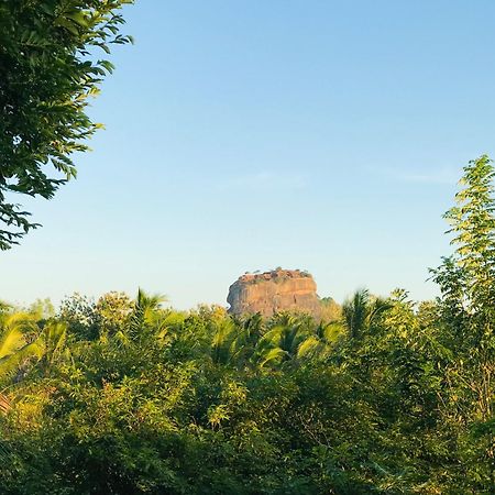 Chena Huts Eco Resort Szigirija Kültér fotó