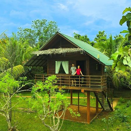 Chena Huts Eco Resort Szigirija Kültér fotó