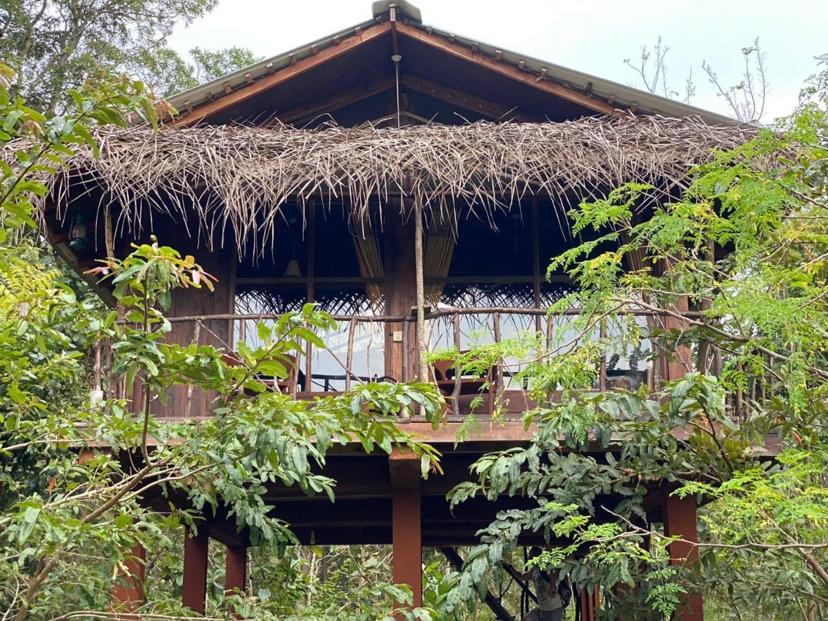 Chena Huts Eco Resort Szigirija Kültér fotó