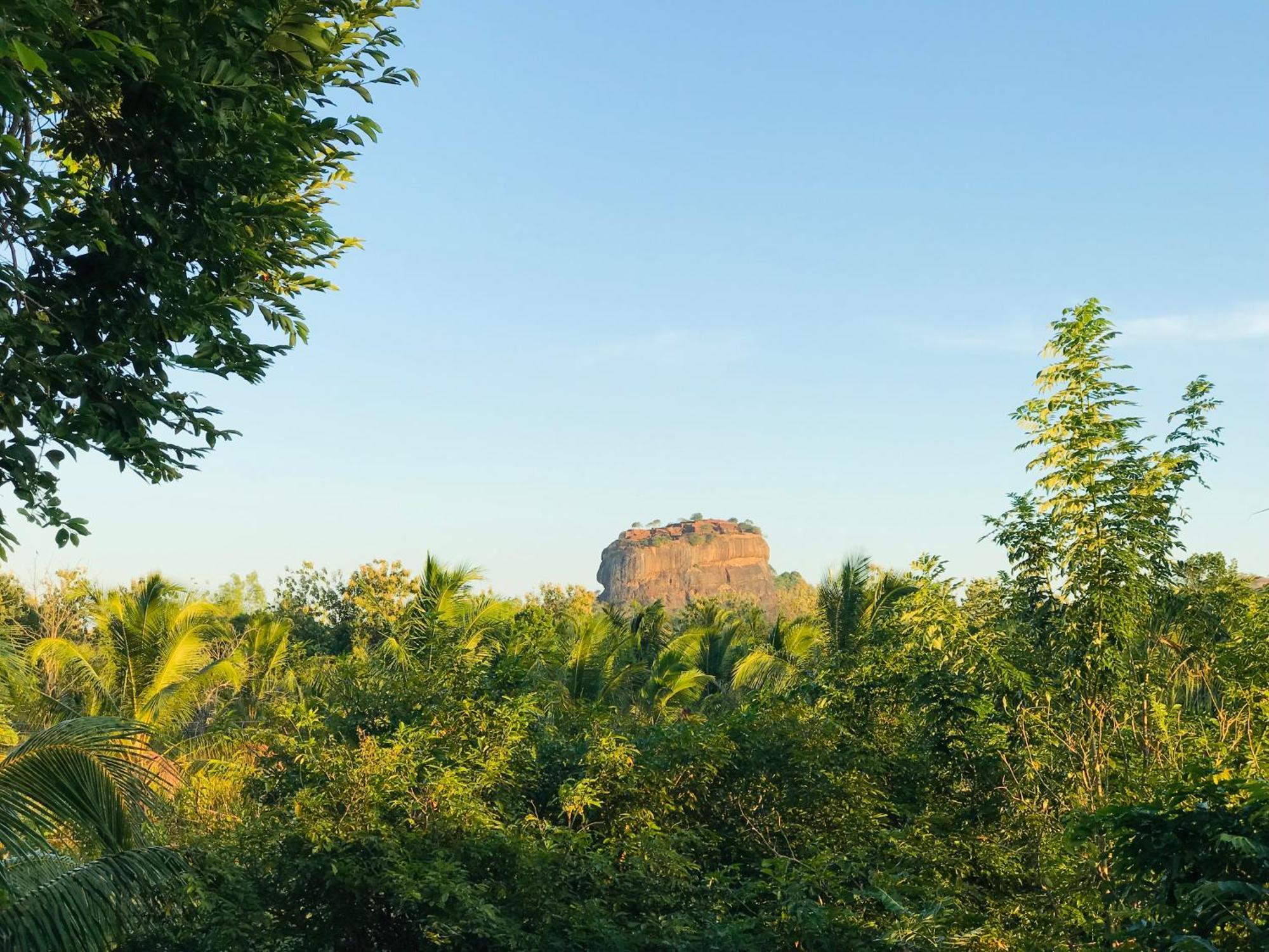 Chena Huts Eco Resort Szigirija Kültér fotó