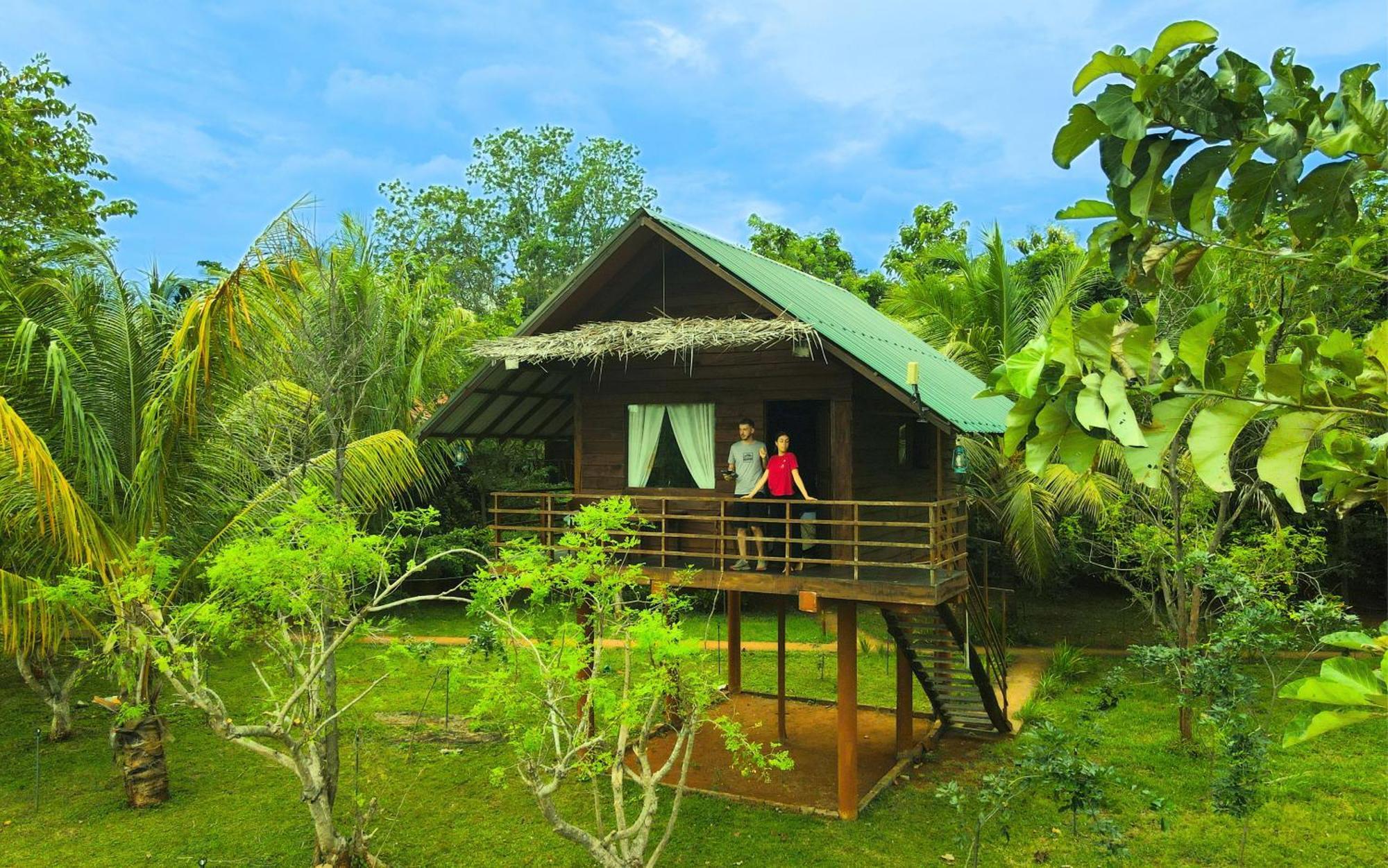 Chena Huts Eco Resort Szigirija Kültér fotó
